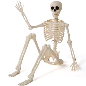 36 Halloween Skeleton Decor