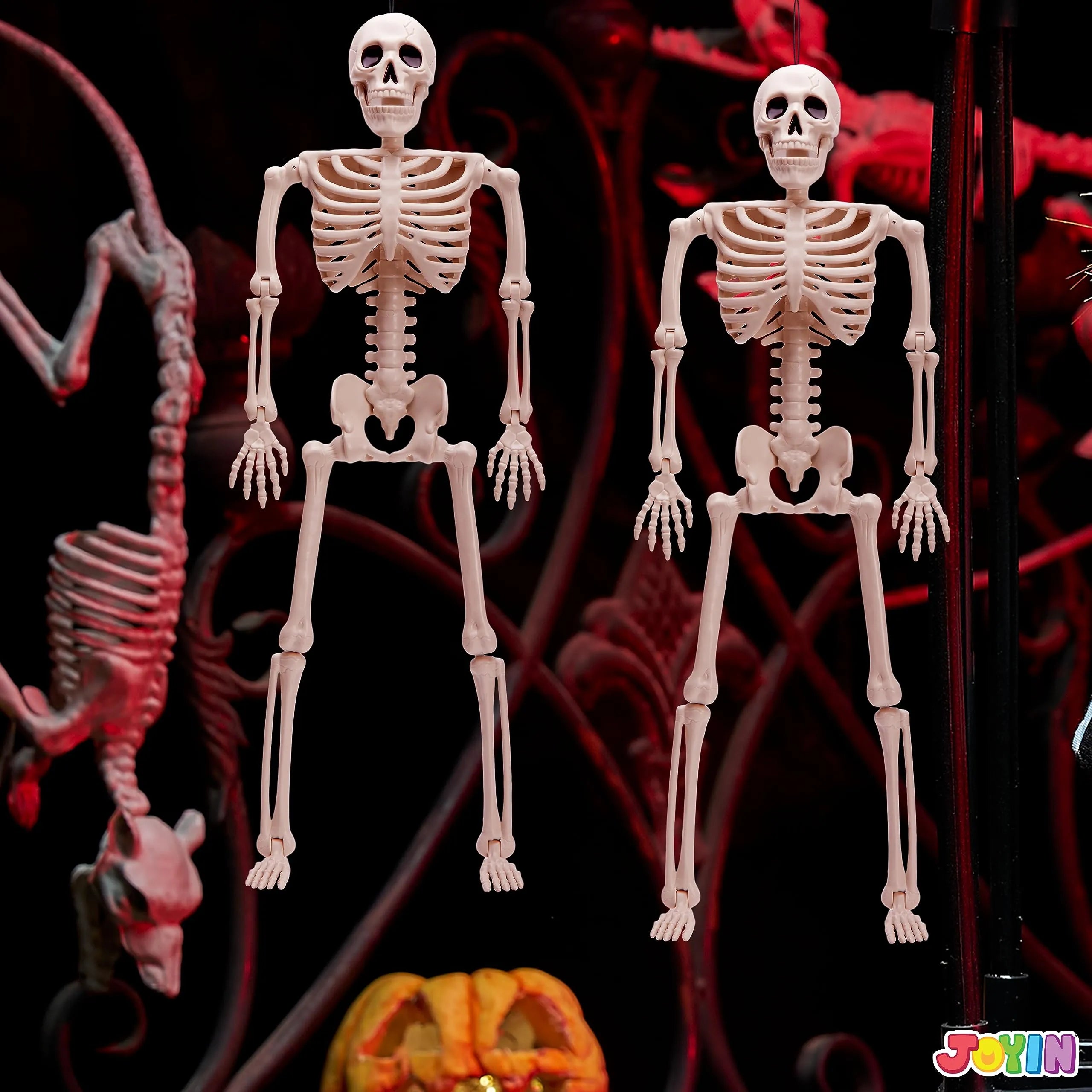 2 PCS 24in Halloween Full Body Posable Skeletons Human Plastic Bones with Movable Joints - Image 8