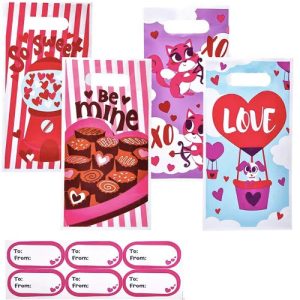 48Pcs Valentines Day Treat Bags Set