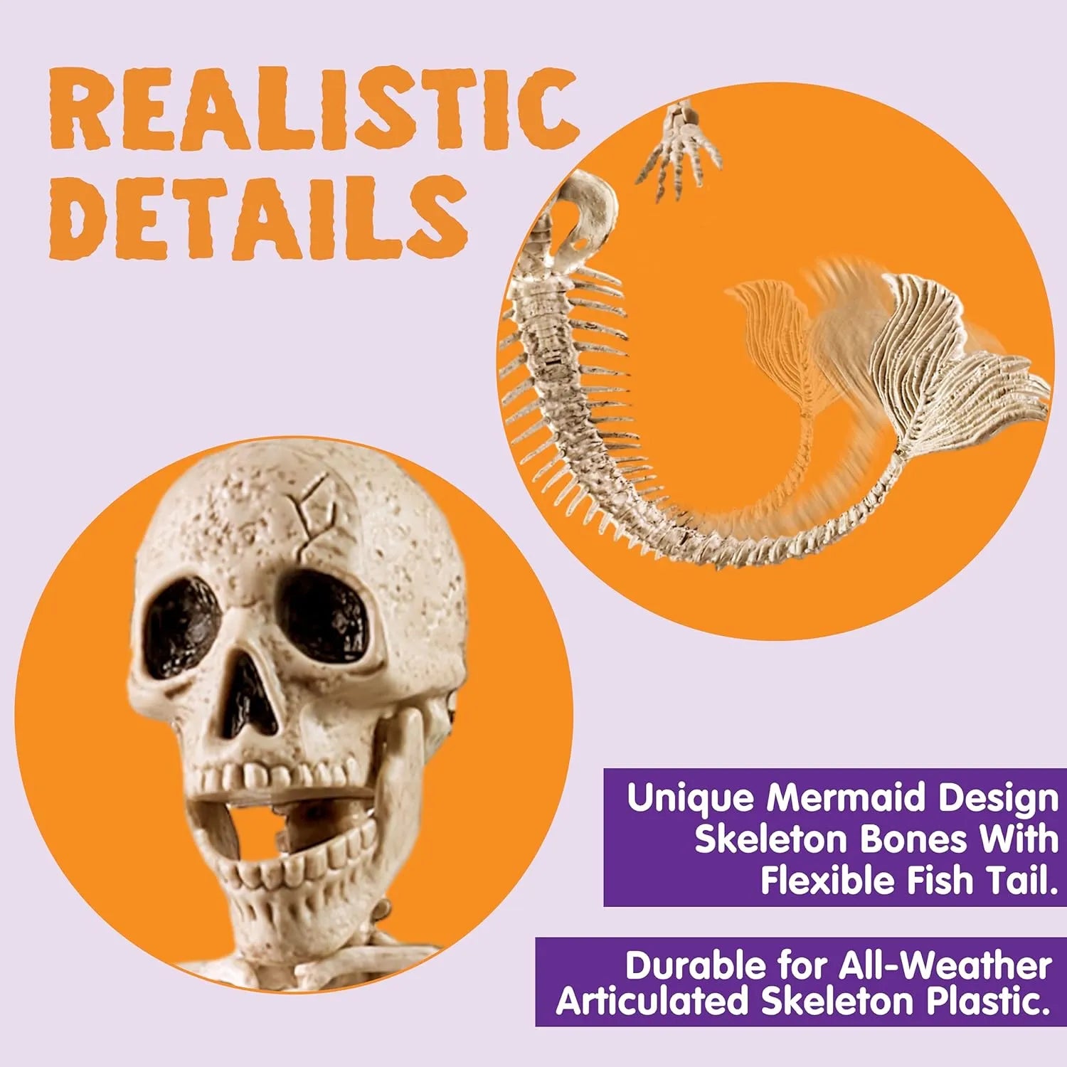 4 PCS Mermaid Skeleton 20in Plastic Bones with Movable Posable Joints - Image 2
