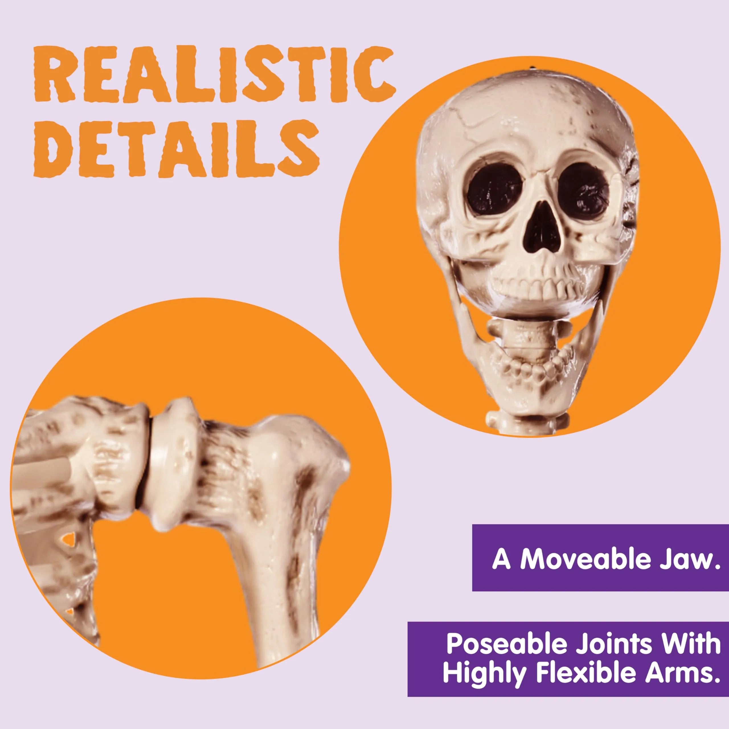 5.6ft Halloween Posable Life Size Skeleton Full Body Realistic Bones with Movable Joints - Image 5
