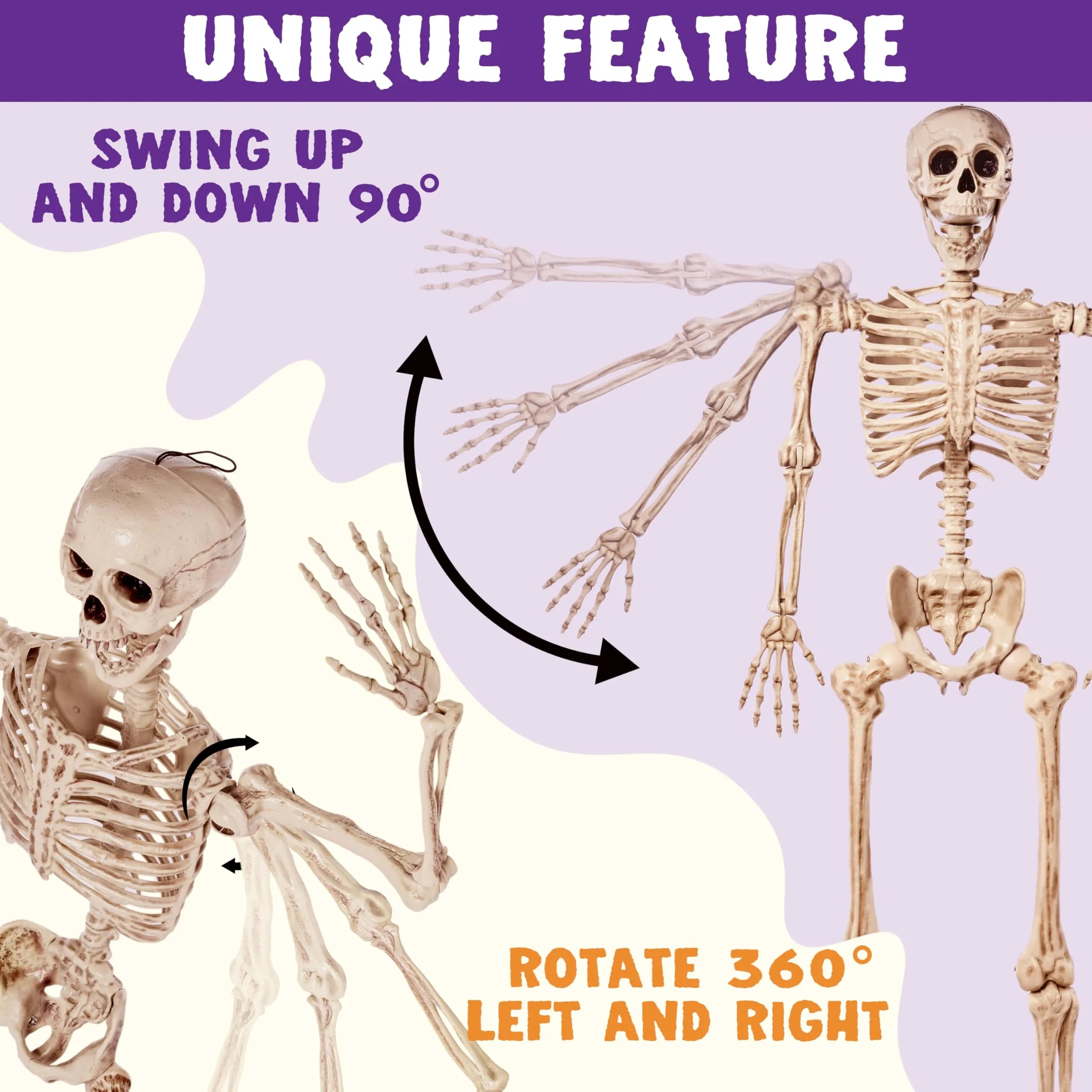 5.6ft Halloween Posable Life Size Skeleton Full Body Realistic Bones with Movable Joints - Image 6