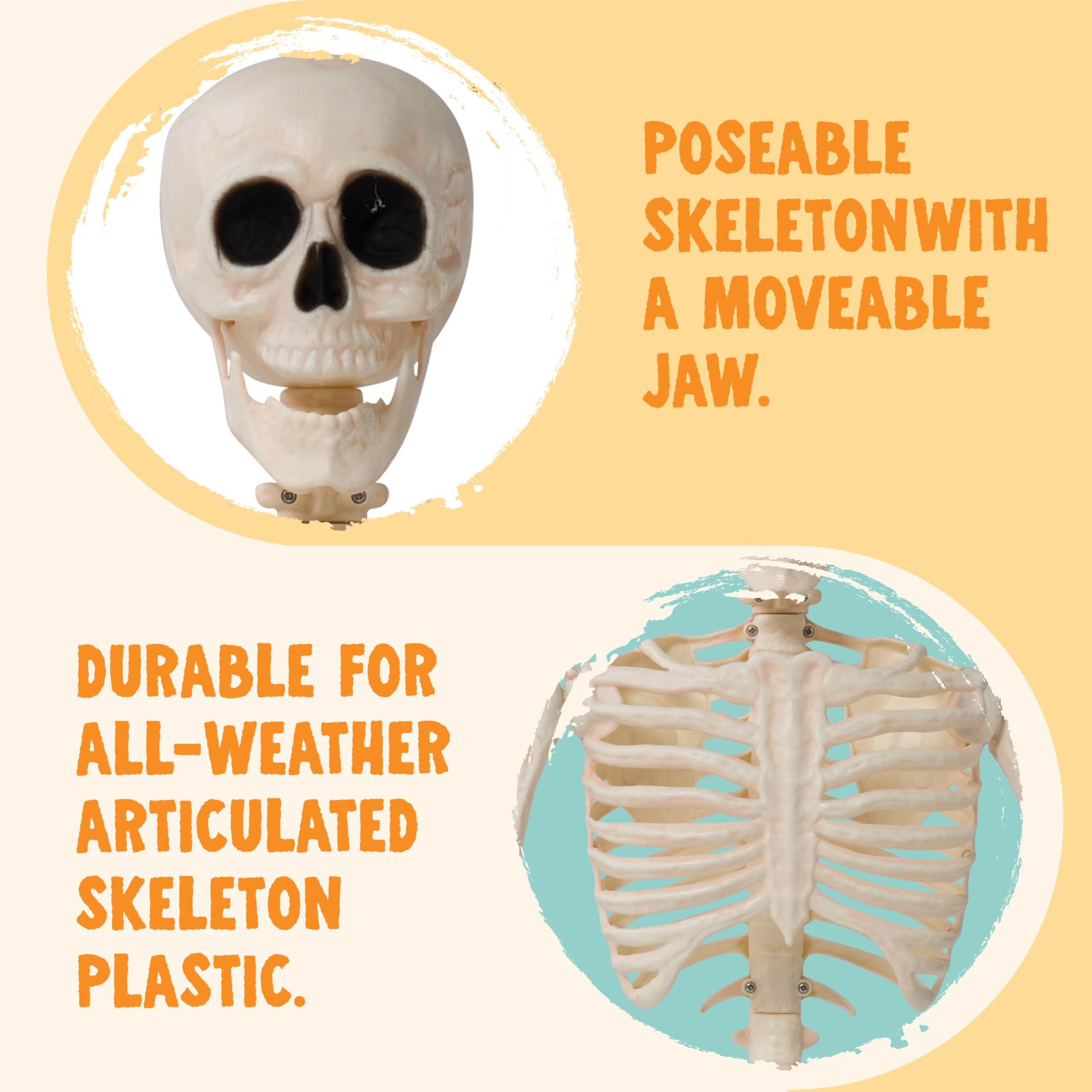 36 Halloween Skeleton Decor - Image 5