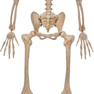 JOYIN 5 FT Posable Skeleton - Life Size Halloween Decoration