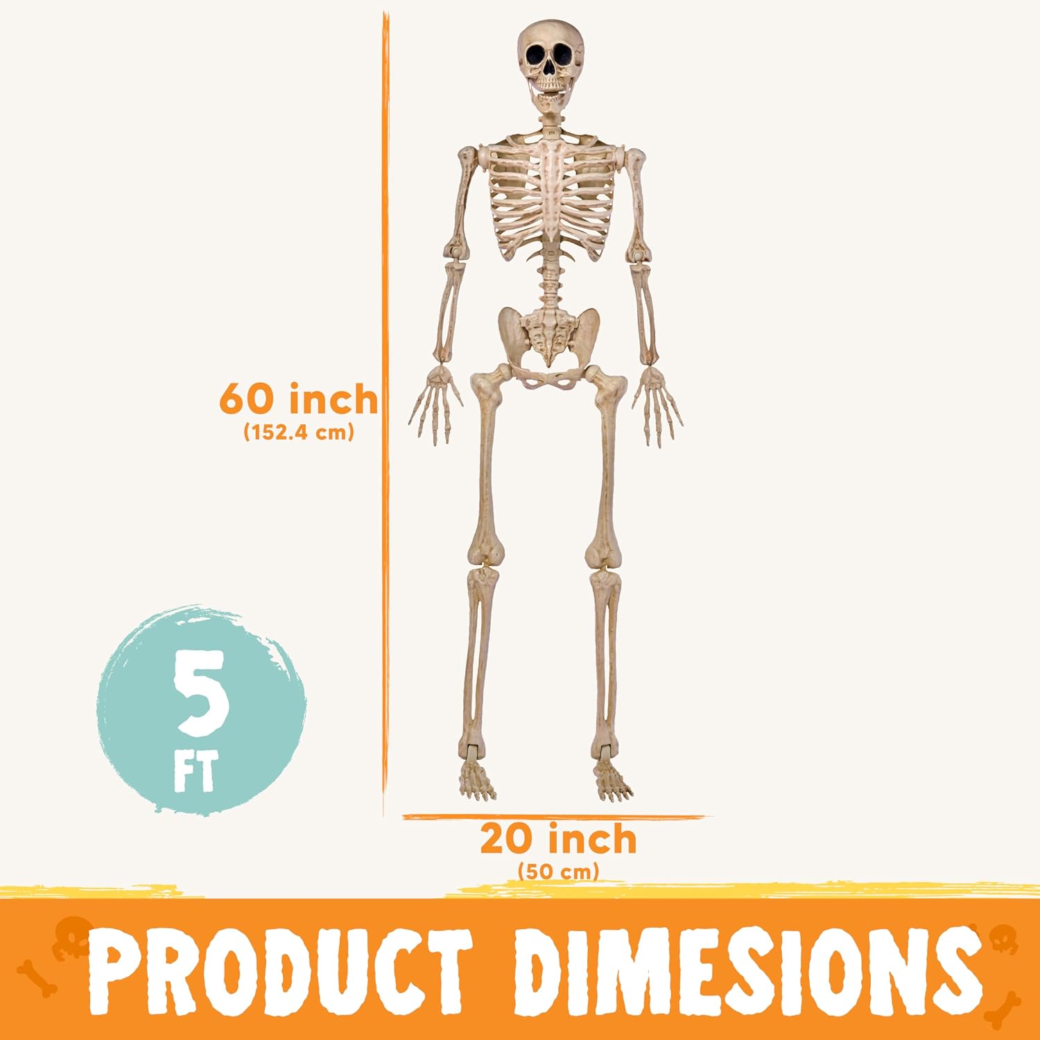 JOYIN 5 FT Posable Skeleton - Life Size Halloween Decoration - Image 2