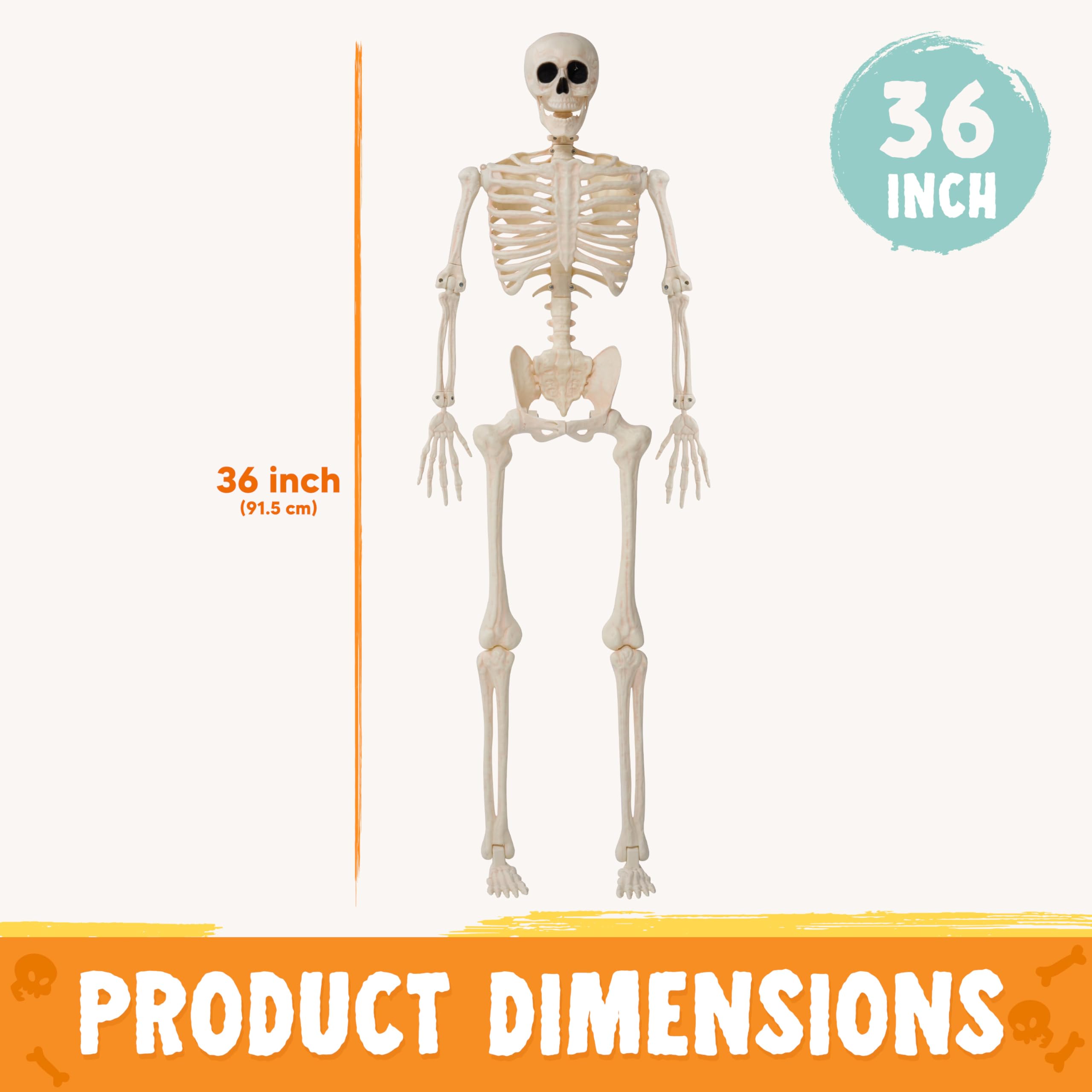 36 Halloween Skeleton Decor - Image 7