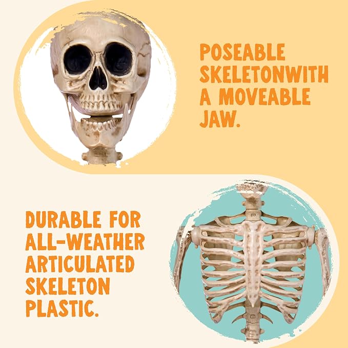 JOYIN 5 FT Posable Skeleton - Life Size Halloween Decoration - Image 4