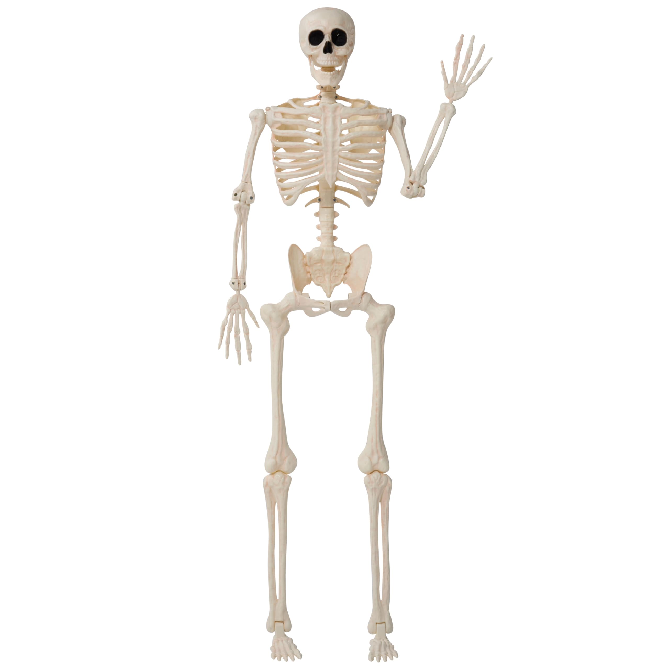 36 Halloween Skeleton Decor - Image 8