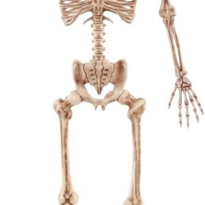 JOYIN 5.6 ft Halloween Life-Size Posable Skeleton with LED Glowing Eyes