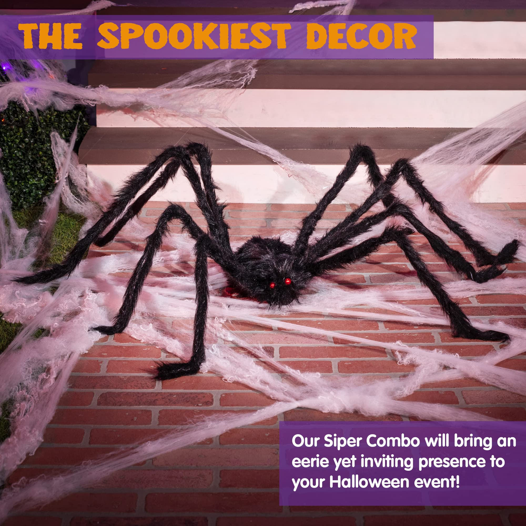 Huge 5-feet Black Hairy Spider - Image 2