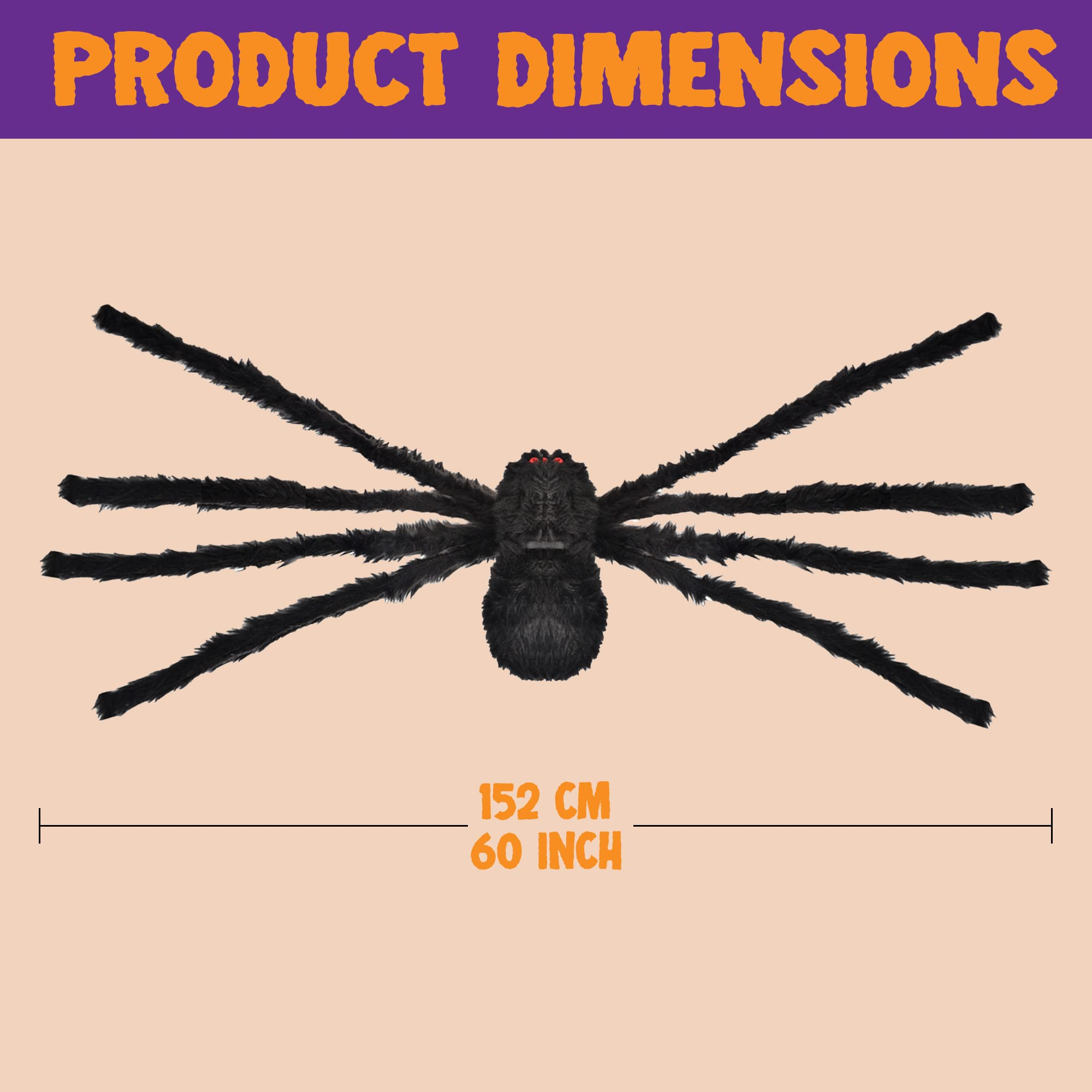 Huge 5-feet Black Hairy Spider - Image 6