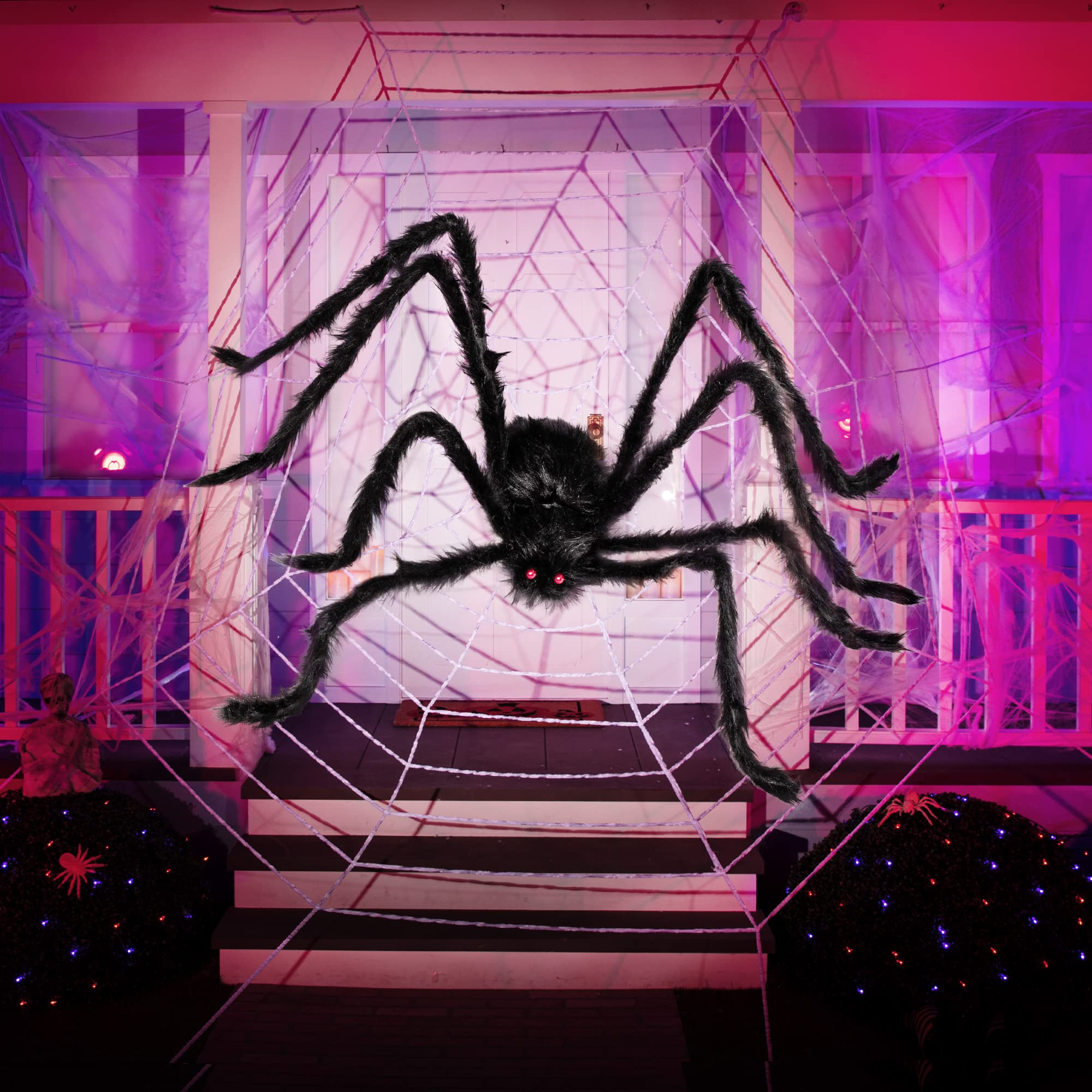 Huge 5-feet Black Hairy Spider - Image 8