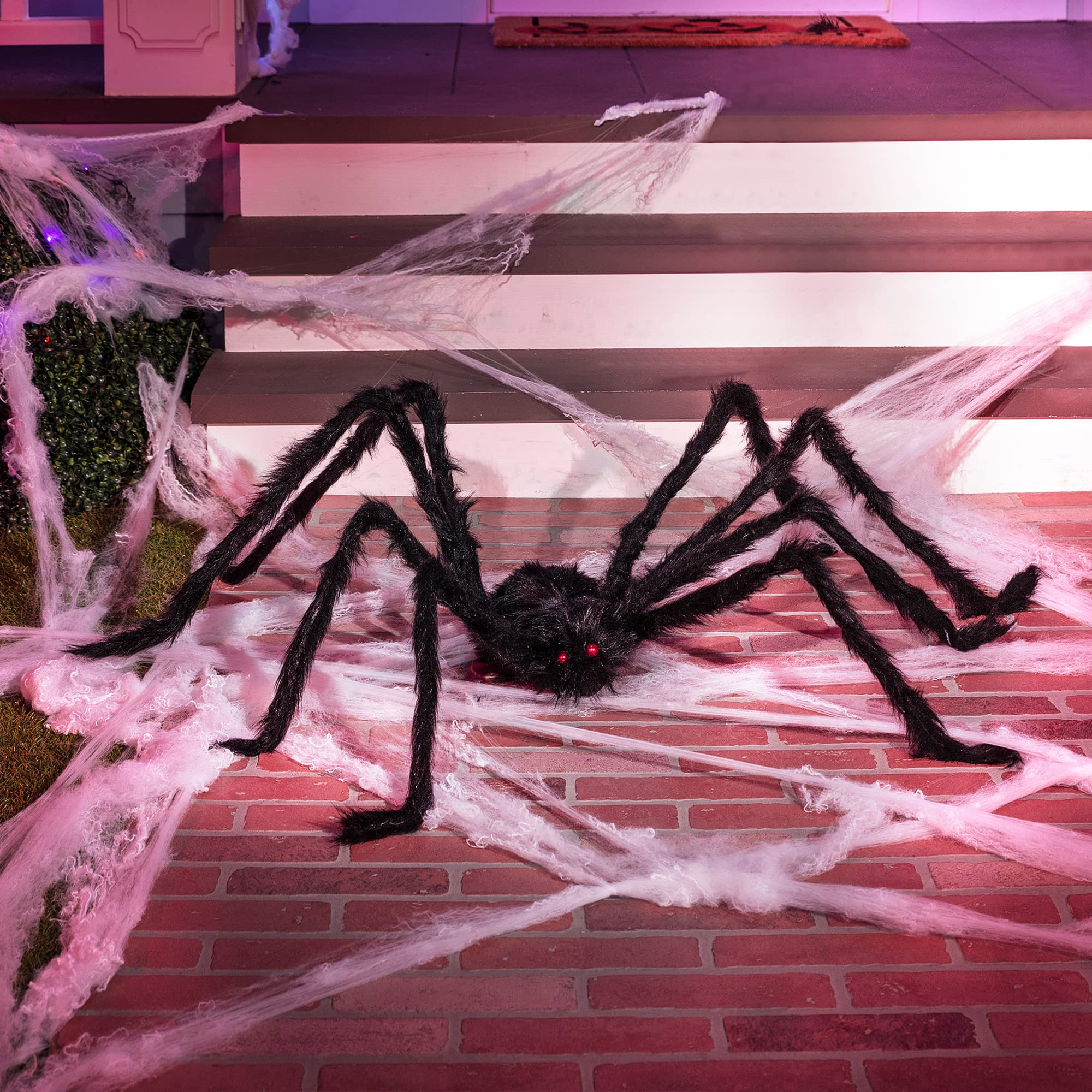 Huge 5-feet Black Hairy Spider - Image 9